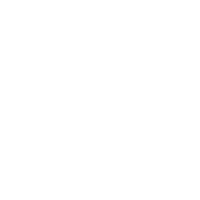 Delphi_LOGO.WHITE.CMYK-01